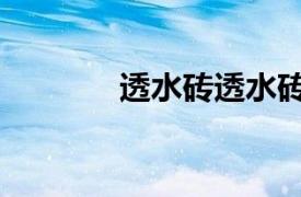 透水砖透水砖（连锁透水砖）