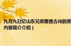 九月九日忆山东兄弟整首古诗的意思（九月九日忆山东兄弟古诗的意思相关内容简介介绍）