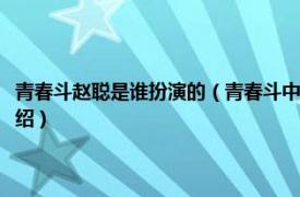 青春斗赵聪是谁扮演的（青春斗中演赵聪的演员叫什么名字相关内容简介介绍）