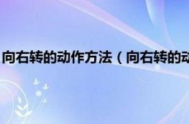 向右转的动作方法（向右转的动作要领是什么相关内容简介介绍）