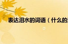 表达泪水的词语（什么的泪水词语相关内容简介介绍）