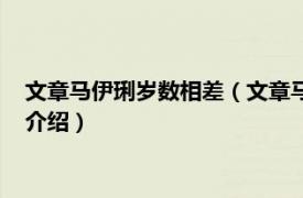 文章马伊琍岁数相差（文章马伊琍两人年龄差多少相关内容简介介绍）