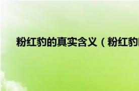 粉红豹的真实含义（粉红豹暗示了什么相关内容简介介绍）