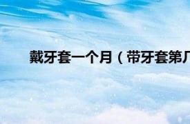 戴牙套一个月（带牙套第几个月最丑相关内容简介介绍）