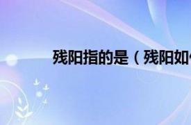 残阳指的是（残阳如什么相关内容简介介绍）