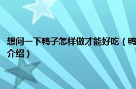 想问一下鸭子怎样做才能好吃（鸭子怎么做好吃又简单的做法相关内容简介介绍）