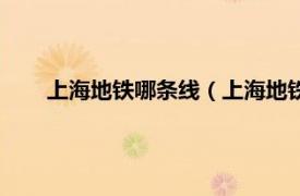 上海地铁哪条线（上海地铁有几条线相关内容简介介绍）