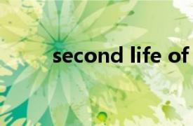 second life of a（Second Life）