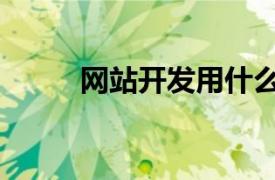 网站开发用什么语言（网站开发）