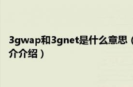 3gwap和3gnet是什么意思（3gwap和3gnet选哪个相关内容简介介绍）