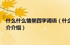 什么什么情景四字词语（什么的情景用四字词语填空相关内容简介介绍）