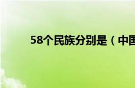 58个民族分别是（中国第58个民族叫什么关系）