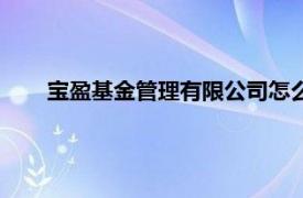 宝盈基金管理有限公司怎么样（宝盈基金管理有限公司）