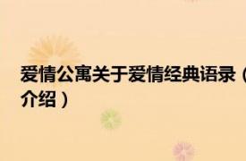 爱情公寓关于爱情经典语录（爱情公寓五经典语录相关内容简介介绍）