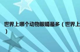 世界上哪个动物眼睛最多（世界上眼睛最多的动物是什么相关内容简介介绍）