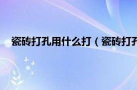 瓷砖打孔用什么打（瓷砖打孔技巧是什么相关内容简介介绍）