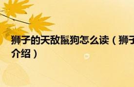 狮子的天敌鬣狗怎么读（狮子王里面的鬣狗读什么相关内容简介介绍）