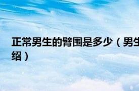 正常男生的臂围是多少（男生臂围一般多少厘米相关内容简介介绍）