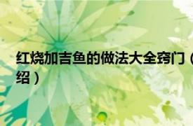 红烧加吉鱼的做法大全窍门（红烧加吉鱼的做法相关内容简介介绍）