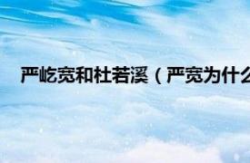 严屹宽和杜若溪（严宽为什么会追杜若溪相关内容简介介绍）