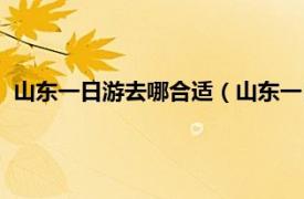 山东一日游去哪合适（山东一日游哪里好玩相关内容简介介绍）