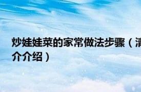 炒娃娃菜的家常做法步骤（清炒娃娃菜的做法有哪些相关内容简介介绍）