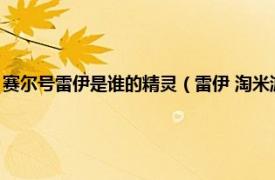 赛尔号雷伊是谁的精灵（雷伊 淘米游戏《赛尔号》及其衍生作品中的角色）