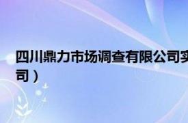 四川鼎力市场调查有限公司实训报告（四川鼎力市场调查有限公司）