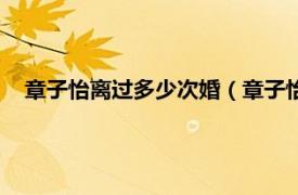 章子怡离过多少次婚（章子怡结过几次婚相关内容简介介绍）