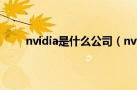 nvidia是什么公司（nv NVIDIA公司的英文简写）