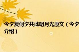 今夕复何夕共此明月光原文（今夕复何夕共此明月光什么意思相关内容简介介绍）