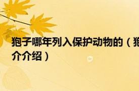 狍子哪年列入保护动物的（狍子是国家几级保护动物相关内容简介介绍）