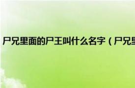 尸兄里面的尸王叫什么名字（尸兄里面的尸王怎么死的相关内容简介介绍）