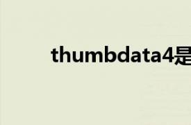 thumbdata4是什么文件能删除吗