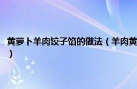 黄萝卜羊肉饺子馅的做法（羊肉黄萝卜饺子的做法有哪些相关内容简介介绍）