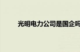 光明电力公司是国企吗相关内容简介介绍怎么写