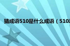 猜成语510是什么成语（510表示什么成语相关内容简介介绍）