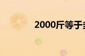 2000斤等于多少吨（2000）