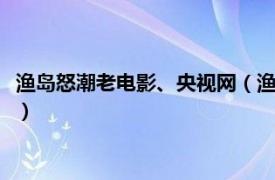 渔岛怒潮老电影、央视网（渔岛怒潮 2014年马玉辉执导的电视剧）