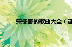 宋冬野的歌曲大全（连衣裙 宋冬野演唱的歌曲）