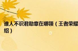 谁人不识君勋章在哪领（王者荣耀谁人不识君勋章怎么获得相关内容简介介绍）