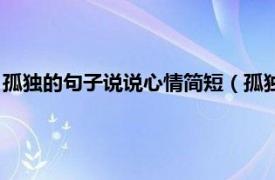 孤独的句子说说心情简短（孤独句子说说心情相关内容简介介绍）