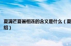 夏满芒夏暑相连的含义是什么（夏满芒夏暑相连是什么意思相关内容简介介绍）