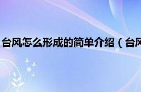 台风怎么形成的简单介绍（台风是怎样形成的相关内容简介介绍）