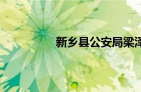 新乡县公安局梁泽豫（新乡县公安局）