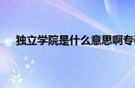 独立学院是什么意思啊专硕（独立学院是什么意思啊）