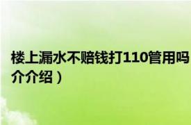 楼上漏水不赔钱打110管用吗（楼上漏水可以打110吗相关内容简介介绍）