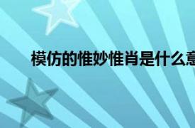 模仿的惟妙惟肖是什么意思（惟妙惟肖是什么意思）