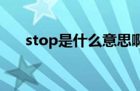 stop是什么意思啊（st是什么意思啊）