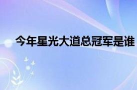 今年星光大道总冠军是谁（17年星光大道总冠军是谁）